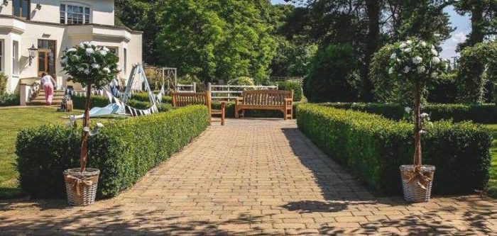 wedding topiary tree hertfordshire 2